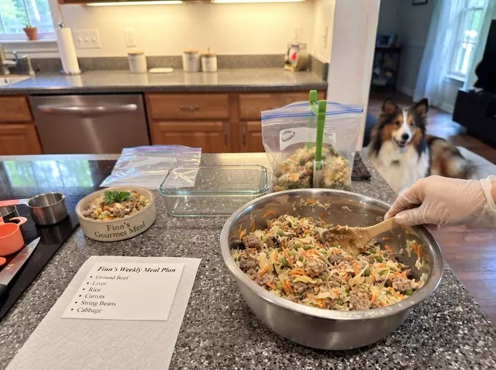 Gesundes Rindfleisch-Gemüse-Eintopf für Hunde: Ein hausgemachtes Rezept